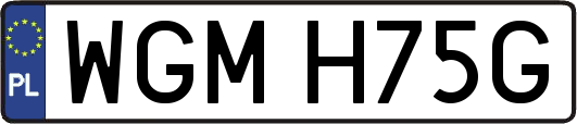 WGMH75G