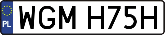 WGMH75H