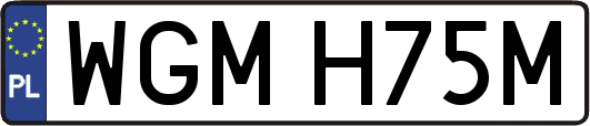 WGMH75M
