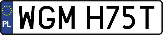 WGMH75T