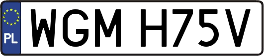 WGMH75V