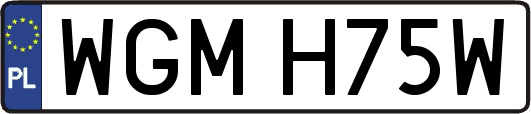 WGMH75W