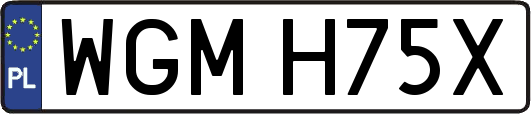 WGMH75X
