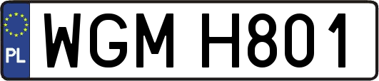 WGMH801