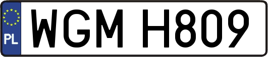 WGMH809