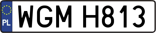 WGMH813