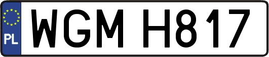 WGMH817