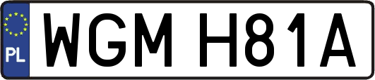 WGMH81A