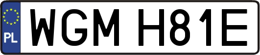 WGMH81E