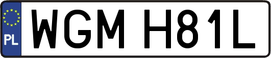 WGMH81L