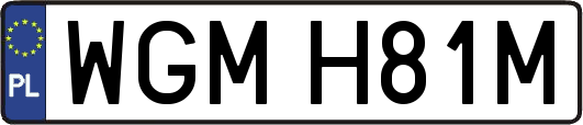 WGMH81M