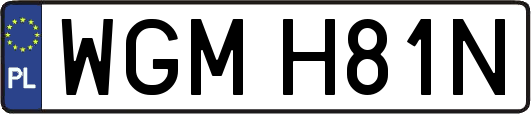WGMH81N