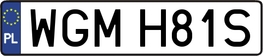 WGMH81S