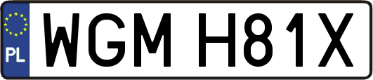 WGMH81X