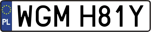 WGMH81Y