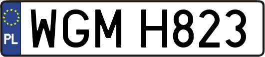 WGMH823