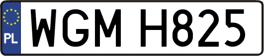 WGMH825