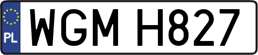 WGMH827