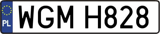 WGMH828