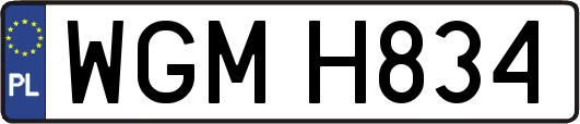 WGMH834