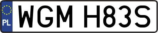 WGMH83S