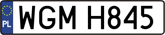 WGMH845