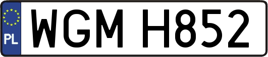WGMH852