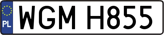 WGMH855