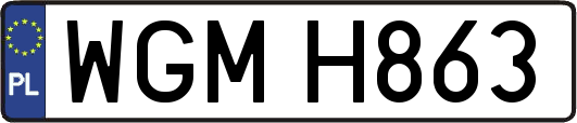 WGMH863