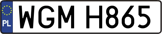 WGMH865