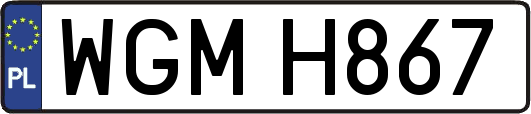 WGMH867