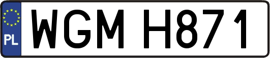 WGMH871