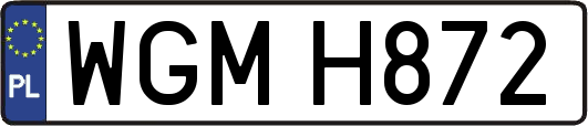 WGMH872