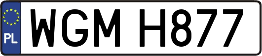 WGMH877