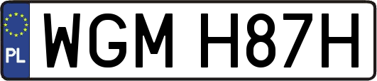 WGMH87H
