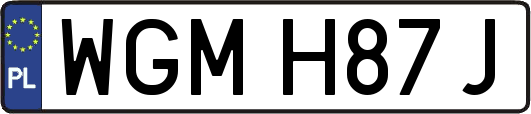 WGMH87J