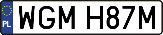 WGMH87M