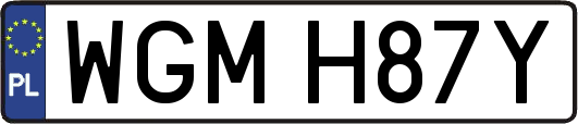 WGMH87Y
