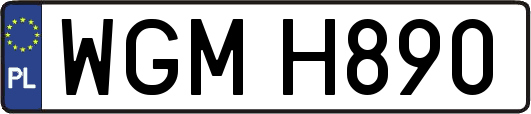 WGMH890