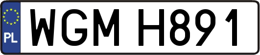 WGMH891