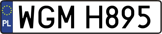 WGMH895