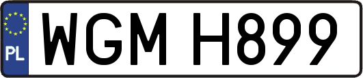 WGMH899