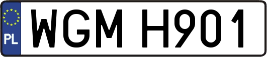 WGMH901