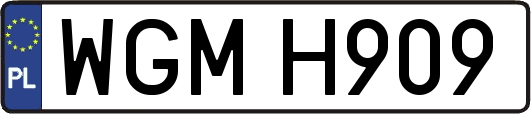 WGMH909
