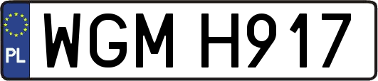 WGMH917