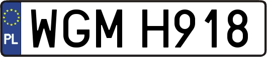 WGMH918