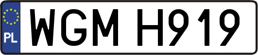 WGMH919