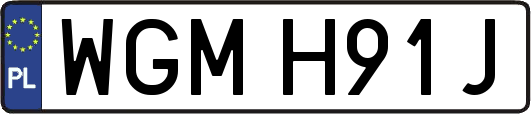 WGMH91J