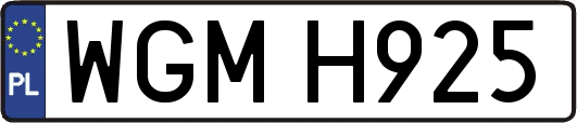 WGMH925