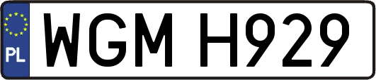 WGMH929